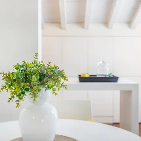 Modena's Graffiti House In The Heart Of Movida * Modène